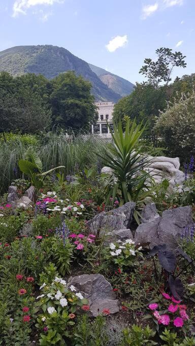 Appartement Grand T2 Calme Et Cosy Au « Pyrenees Palace » *