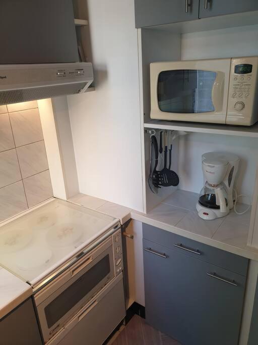 Grand T2 Calme Et Cosy Au « Pyrenees Palace » Apartment